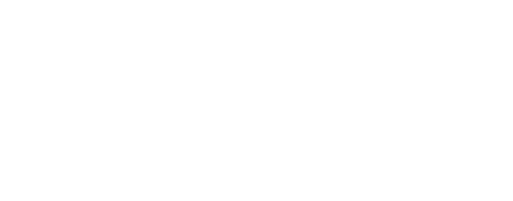 VerSprite Logo Screen White